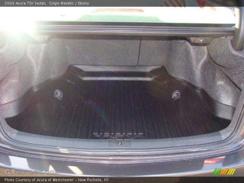 Grigio Metallic / Ebony 2009 Acura TSX Sedan