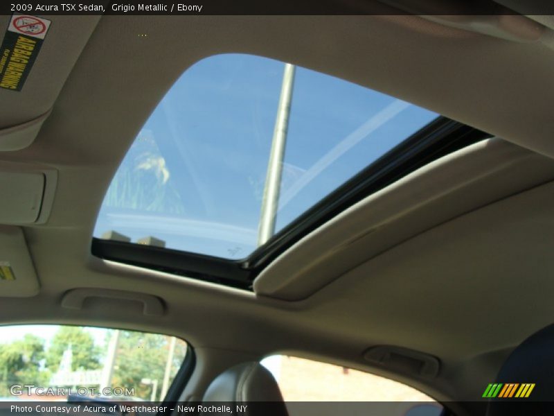 Grigio Metallic / Ebony 2009 Acura TSX Sedan