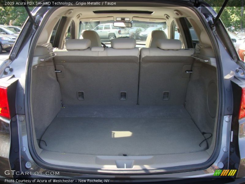 Grigio Metallic / Taupe 2009 Acura RDX SH-AWD Technology