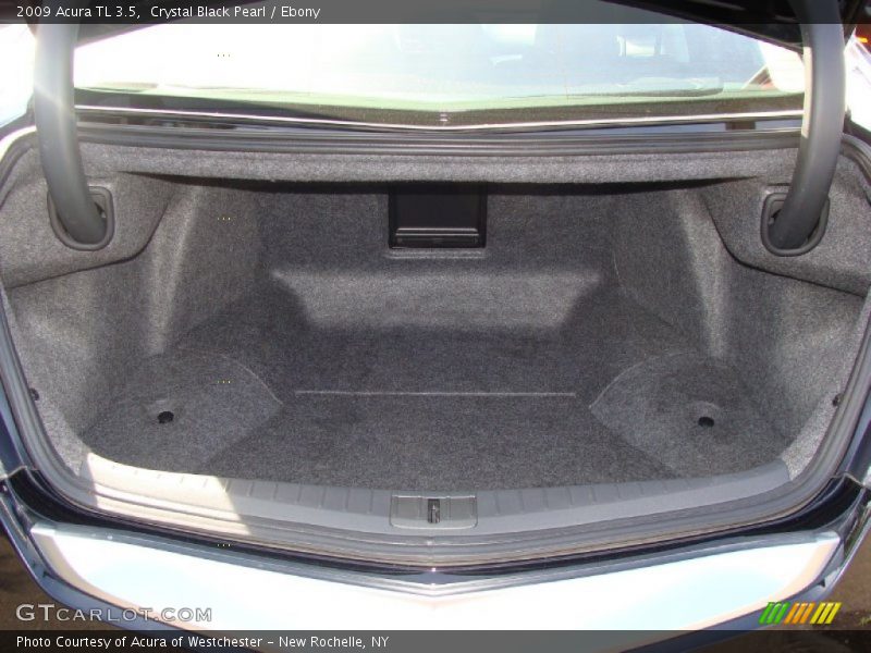 Crystal Black Pearl / Ebony 2009 Acura TL 3.5