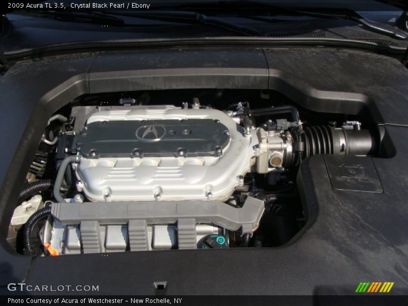 Crystal Black Pearl / Ebony 2009 Acura TL 3.5