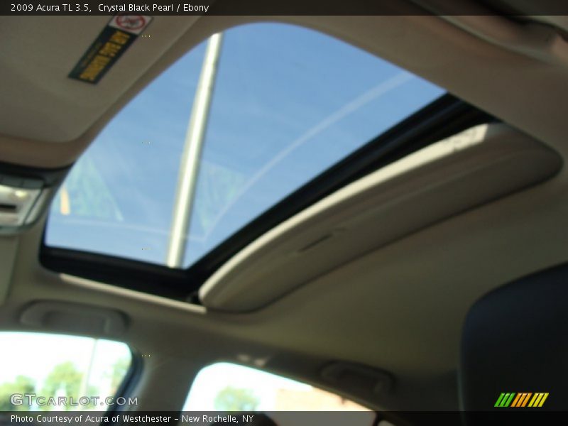 Crystal Black Pearl / Ebony 2009 Acura TL 3.5