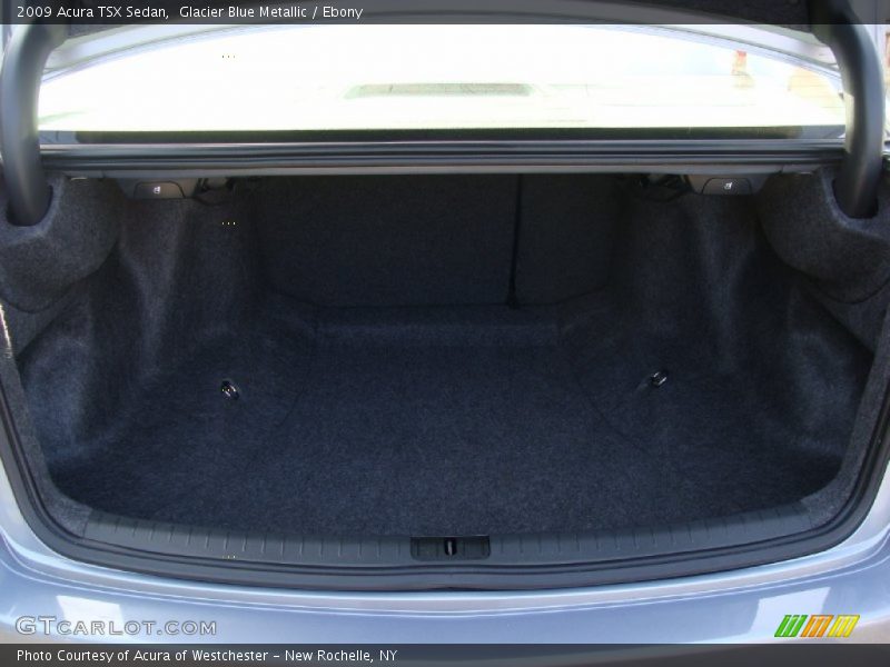 Glacier Blue Metallic / Ebony 2009 Acura TSX Sedan