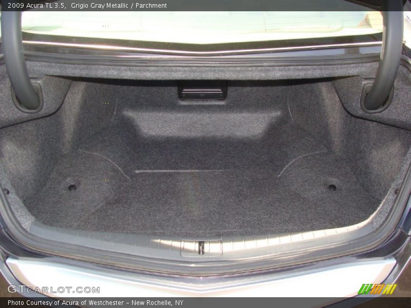 Grigio Gray Metallic / Parchment 2009 Acura TL 3.5