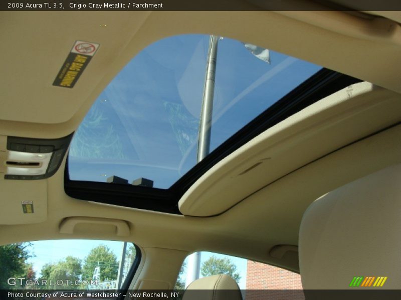 Grigio Gray Metallic / Parchment 2009 Acura TL 3.5