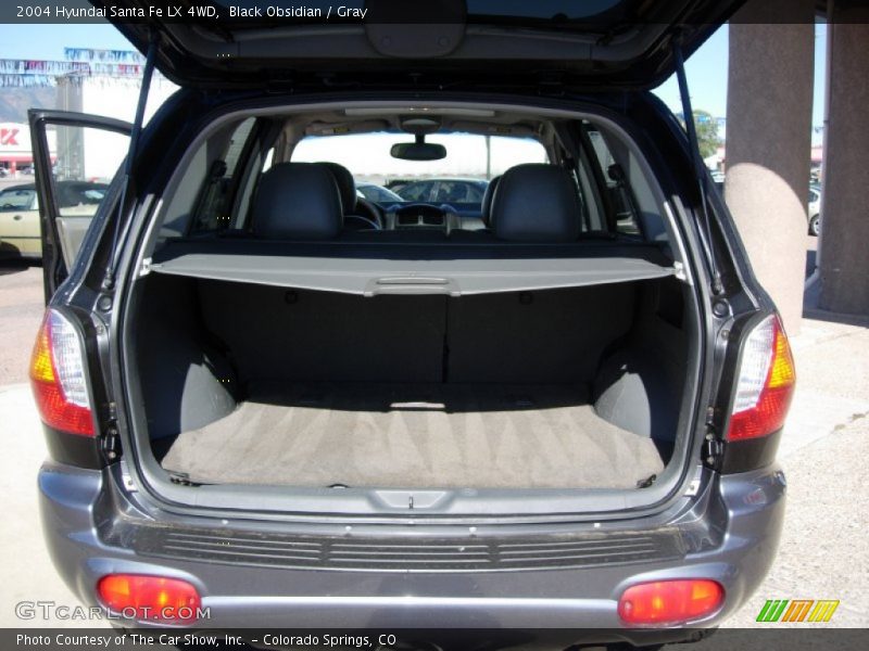 Black Obsidian / Gray 2004 Hyundai Santa Fe LX 4WD