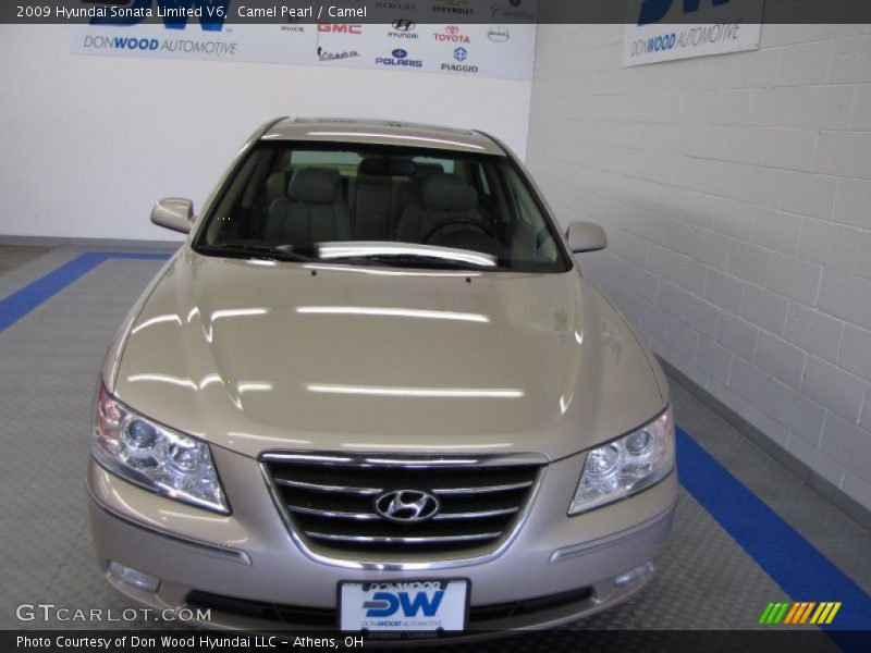 Camel Pearl / Camel 2009 Hyundai Sonata Limited V6