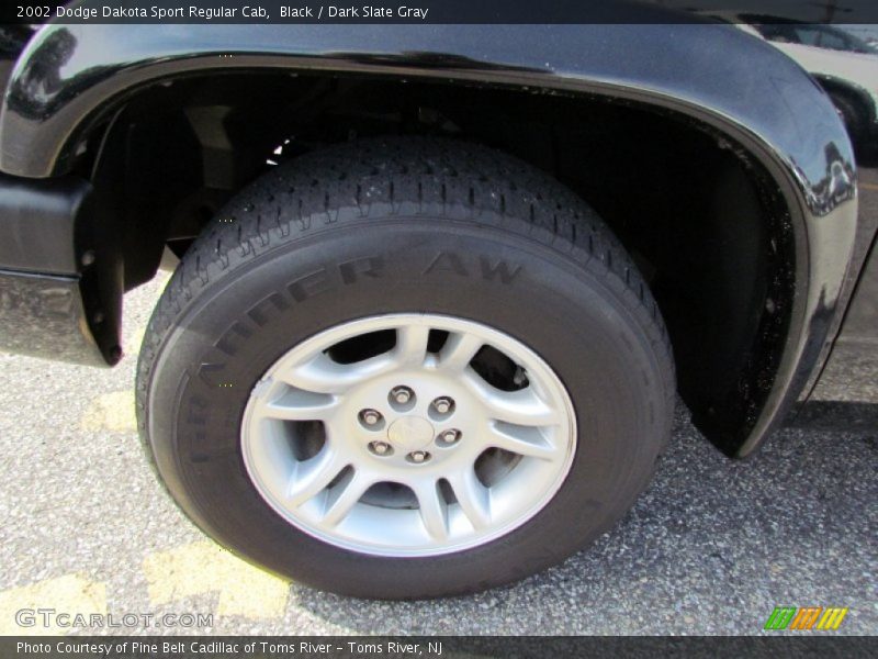 Black / Dark Slate Gray 2002 Dodge Dakota Sport Regular Cab