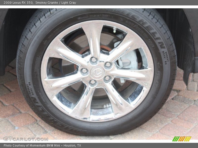 Smokey Granite / Light Gray 2009 Lexus RX 350