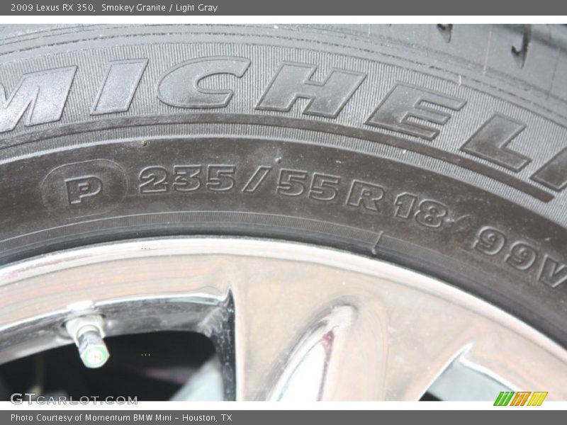 Smokey Granite / Light Gray 2009 Lexus RX 350