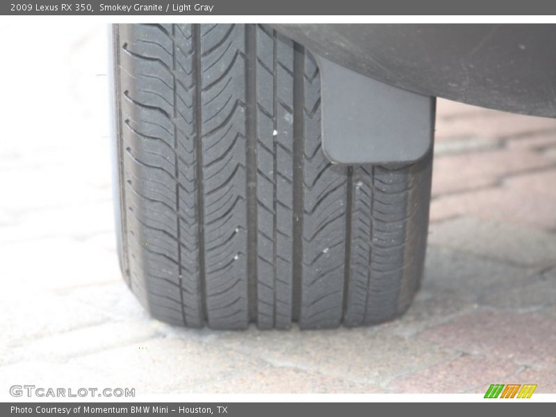 Smokey Granite / Light Gray 2009 Lexus RX 350