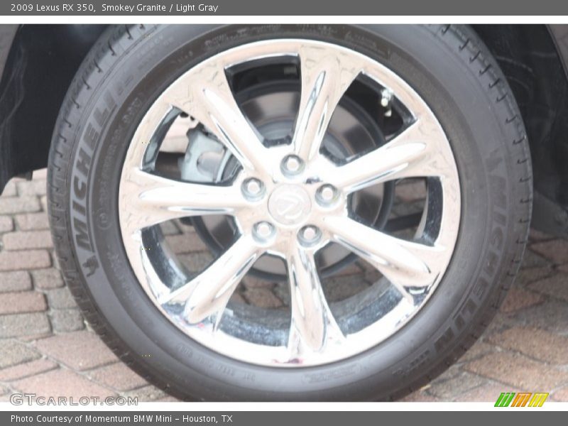 Smokey Granite / Light Gray 2009 Lexus RX 350