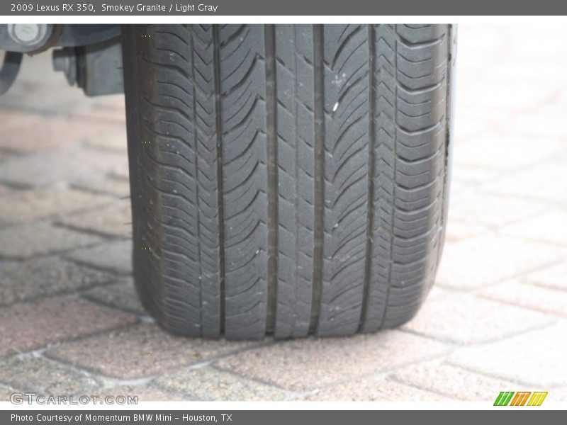 Smokey Granite / Light Gray 2009 Lexus RX 350
