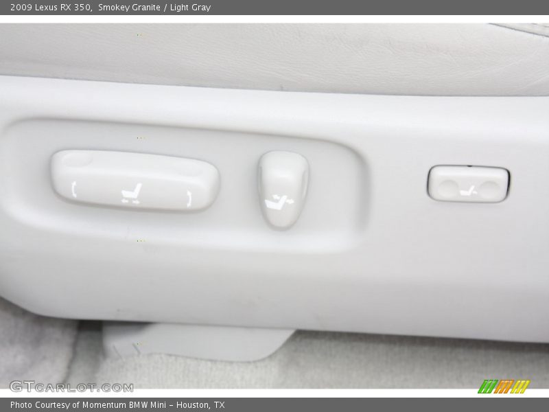 Smokey Granite / Light Gray 2009 Lexus RX 350