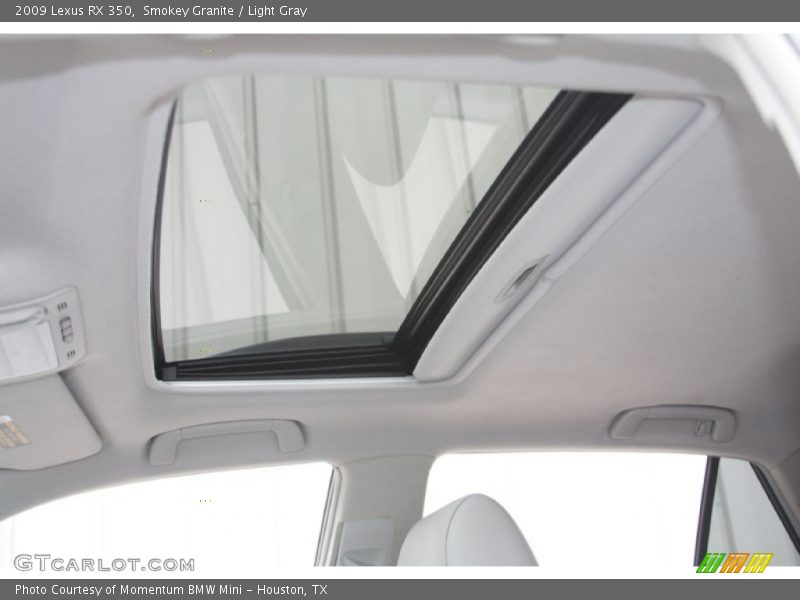 Smokey Granite / Light Gray 2009 Lexus RX 350