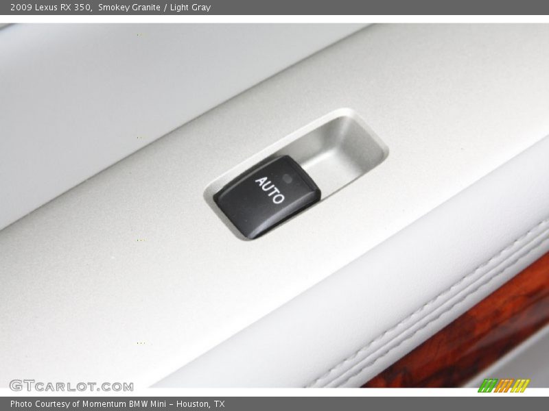 Smokey Granite / Light Gray 2009 Lexus RX 350