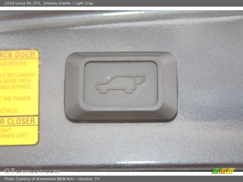 Smokey Granite / Light Gray 2009 Lexus RX 350