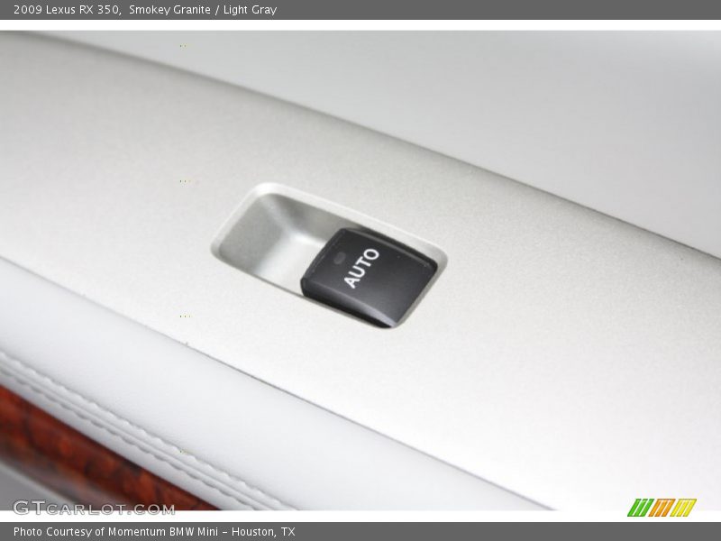 Smokey Granite / Light Gray 2009 Lexus RX 350