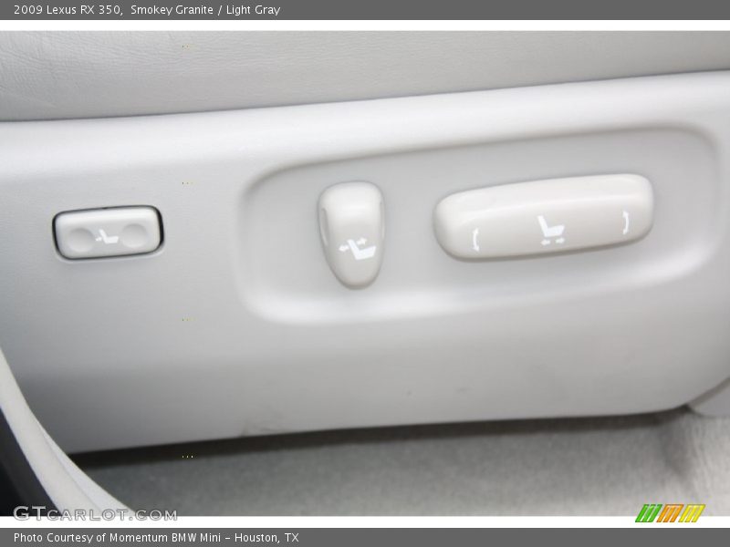 Smokey Granite / Light Gray 2009 Lexus RX 350
