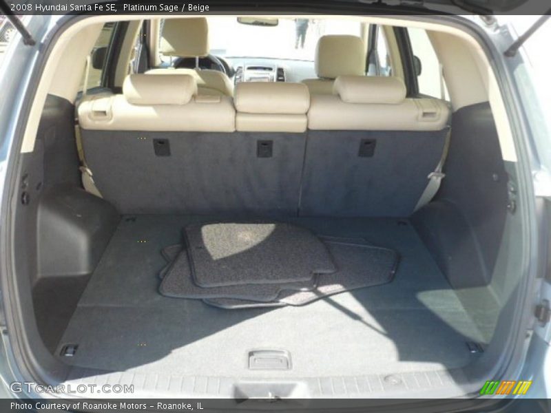 Platinum Sage / Beige 2008 Hyundai Santa Fe SE