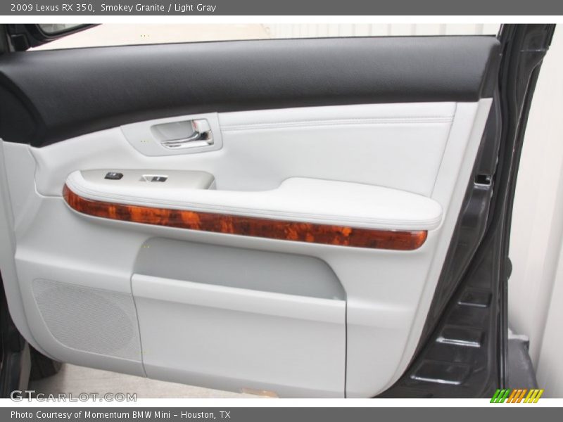 Smokey Granite / Light Gray 2009 Lexus RX 350