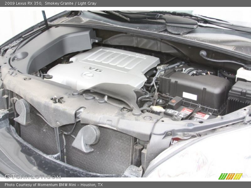Smokey Granite / Light Gray 2009 Lexus RX 350