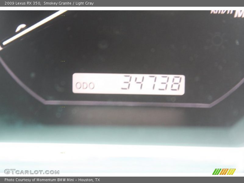 Smokey Granite / Light Gray 2009 Lexus RX 350
