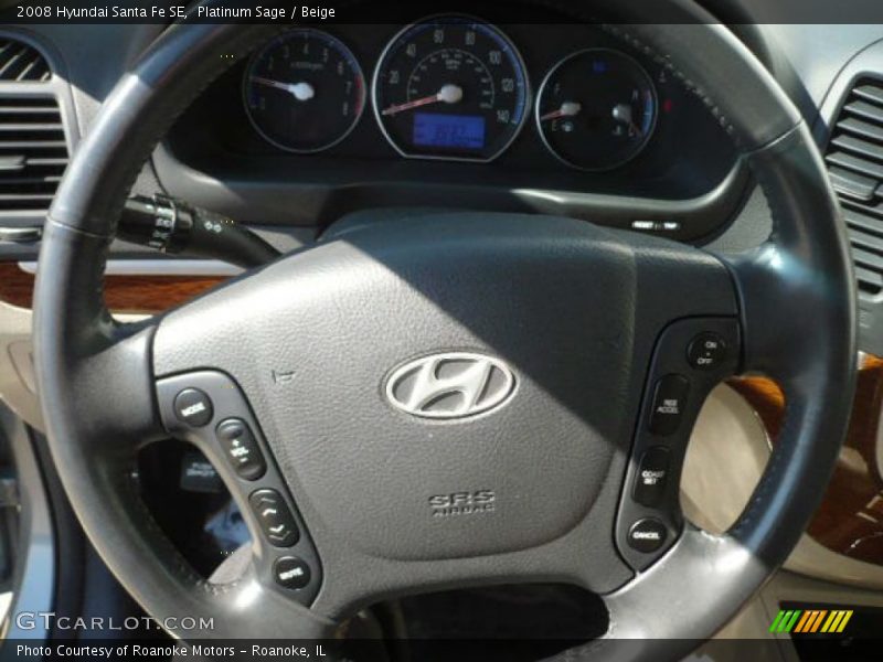 Platinum Sage / Beige 2008 Hyundai Santa Fe SE