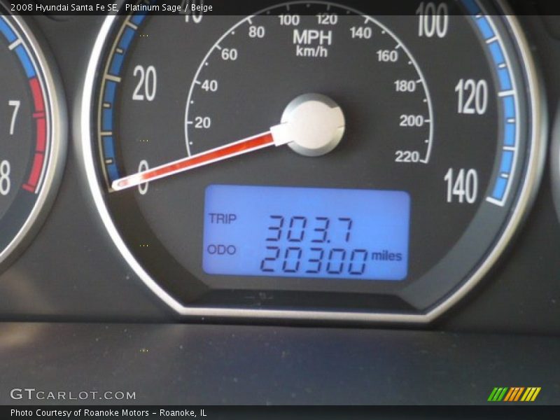 Platinum Sage / Beige 2008 Hyundai Santa Fe SE