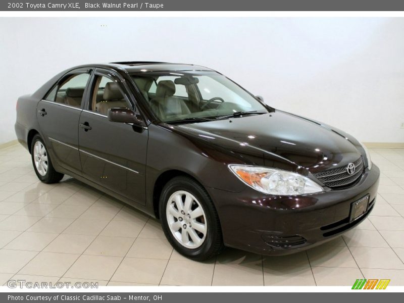 Black Walnut Pearl / Taupe 2002 Toyota Camry XLE