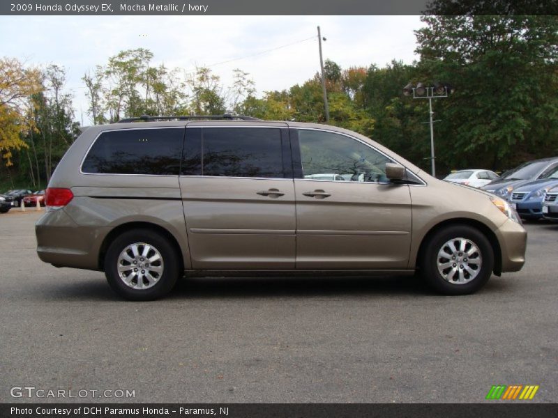 Mocha Metallic / Ivory 2009 Honda Odyssey EX