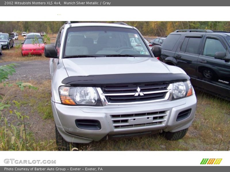 Munich Silver Metallic / Gray 2002 Mitsubishi Montero XLS 4x4