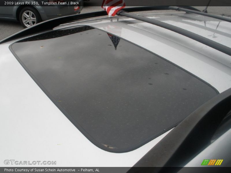 Tungsten Pearl / Black 2009 Lexus RX 350