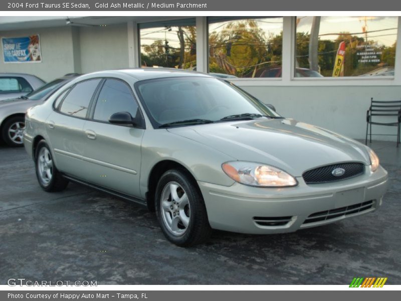 Gold Ash Metallic / Medium Parchment 2004 Ford Taurus SE Sedan