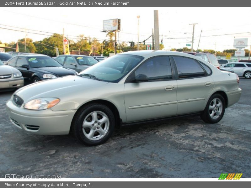 Gold Ash Metallic / Medium Parchment 2004 Ford Taurus SE Sedan