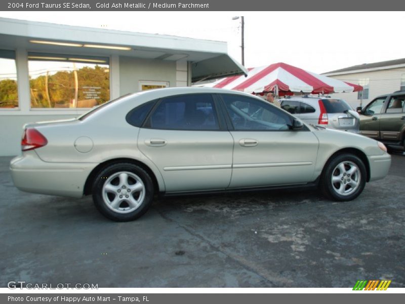 Gold Ash Metallic / Medium Parchment 2004 Ford Taurus SE Sedan