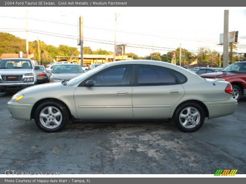 Gold Ash Metallic / Medium Parchment 2004 Ford Taurus SE Sedan
