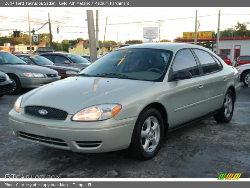 Gold Ash Metallic / Medium Parchment 2004 Ford Taurus SE Sedan