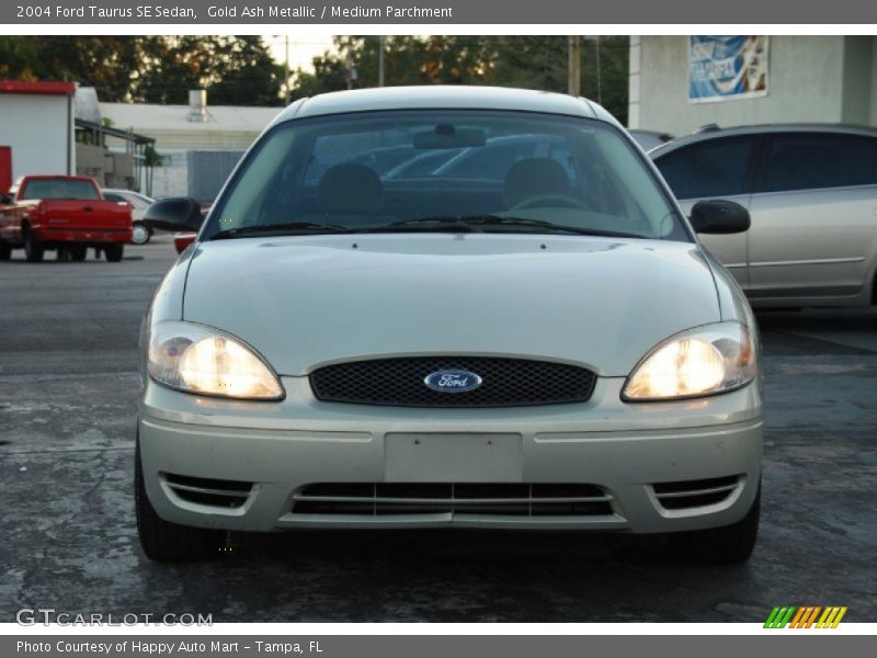 Gold Ash Metallic / Medium Parchment 2004 Ford Taurus SE Sedan
