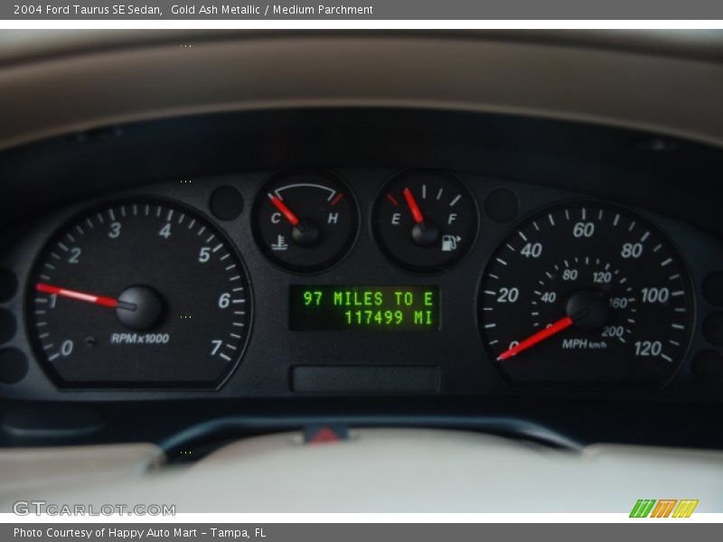 Gold Ash Metallic / Medium Parchment 2004 Ford Taurus SE Sedan