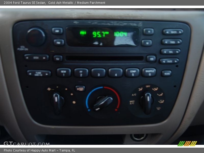 Gold Ash Metallic / Medium Parchment 2004 Ford Taurus SE Sedan