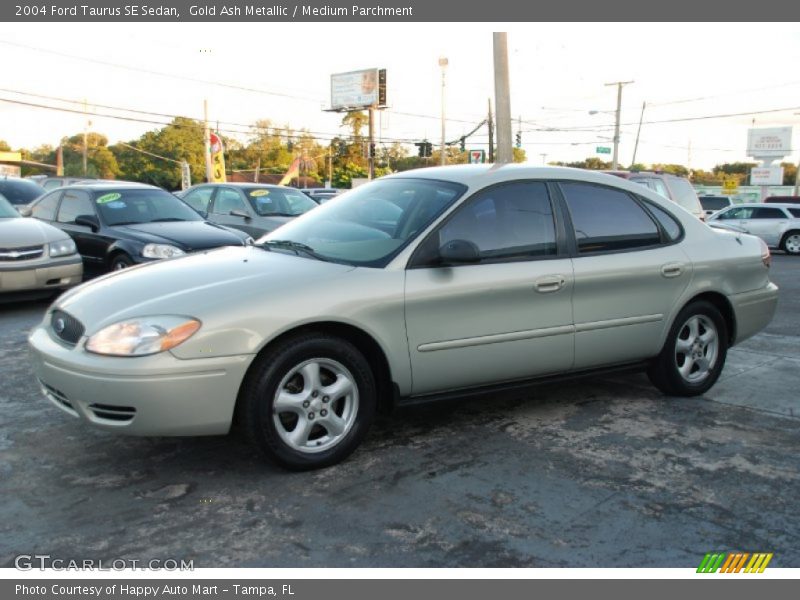 Gold Ash Metallic / Medium Parchment 2004 Ford Taurus SE Sedan