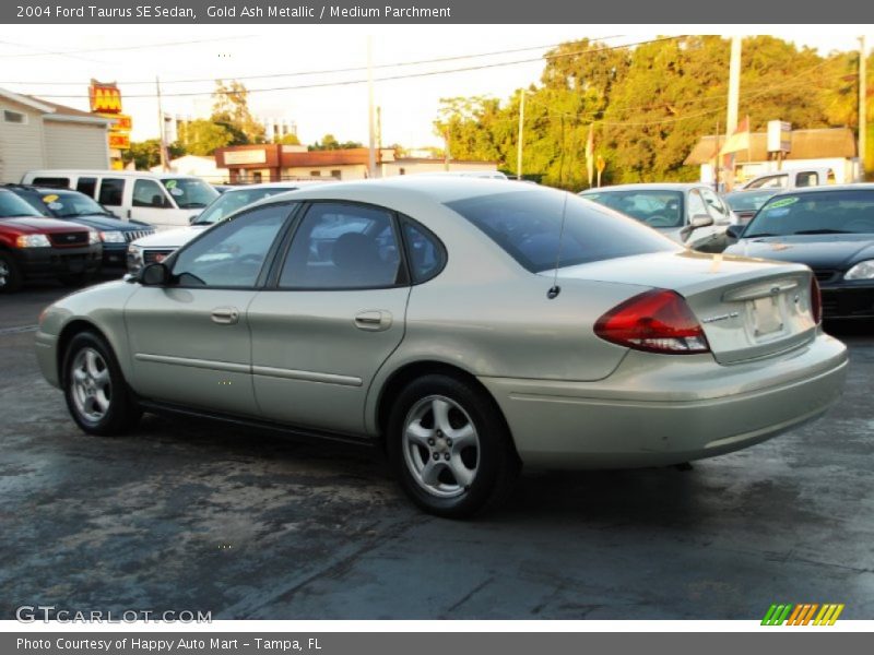 Gold Ash Metallic / Medium Parchment 2004 Ford Taurus SE Sedan