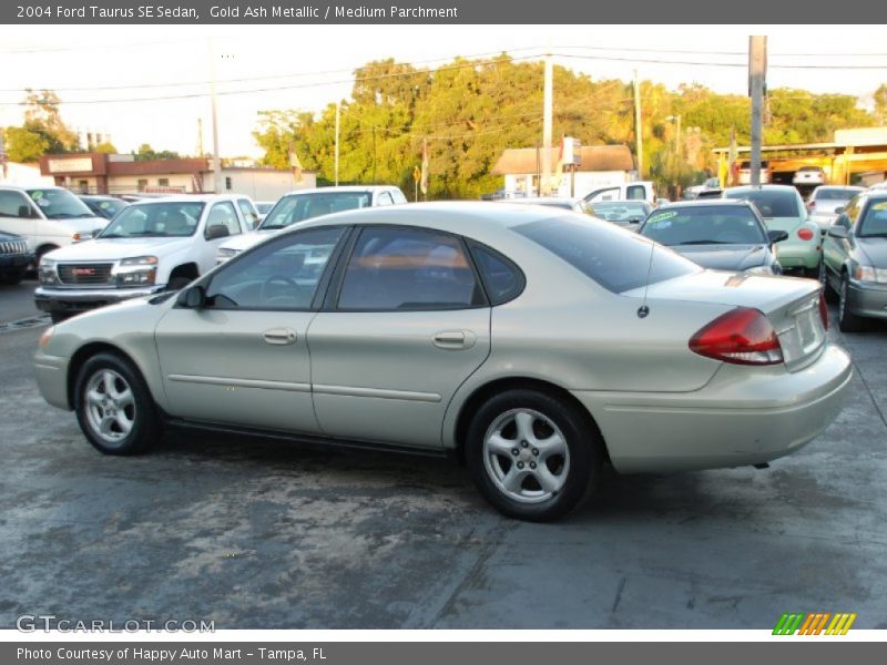 Gold Ash Metallic / Medium Parchment 2004 Ford Taurus SE Sedan
