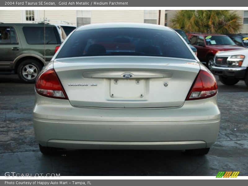 Gold Ash Metallic / Medium Parchment 2004 Ford Taurus SE Sedan