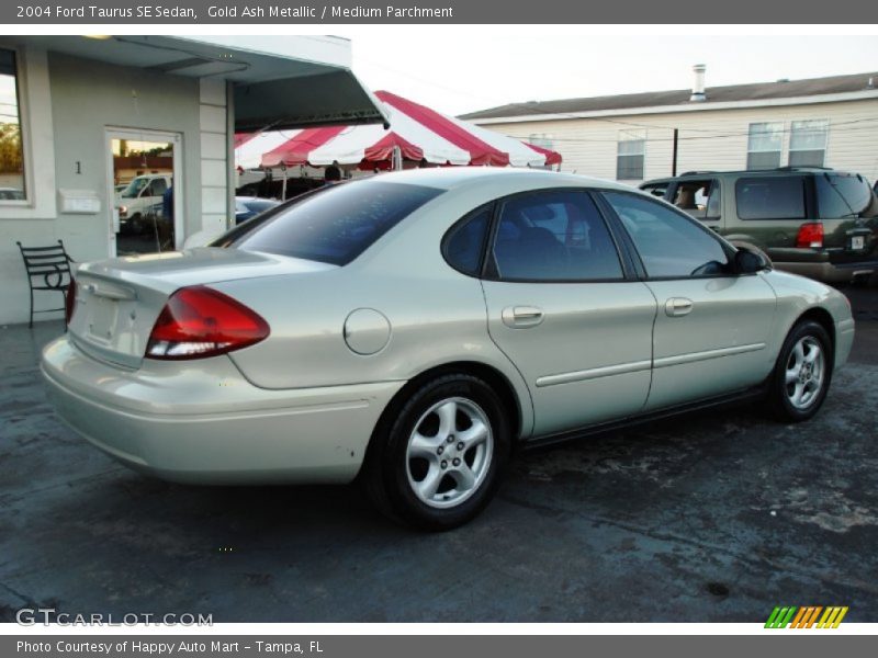 Gold Ash Metallic / Medium Parchment 2004 Ford Taurus SE Sedan