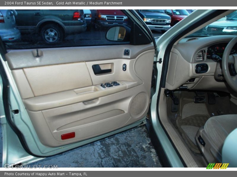 Gold Ash Metallic / Medium Parchment 2004 Ford Taurus SE Sedan