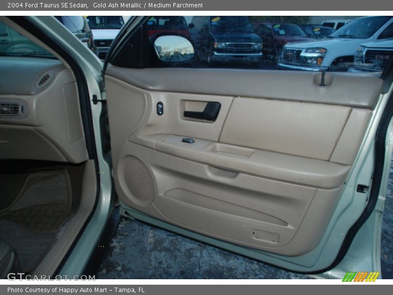 Gold Ash Metallic / Medium Parchment 2004 Ford Taurus SE Sedan