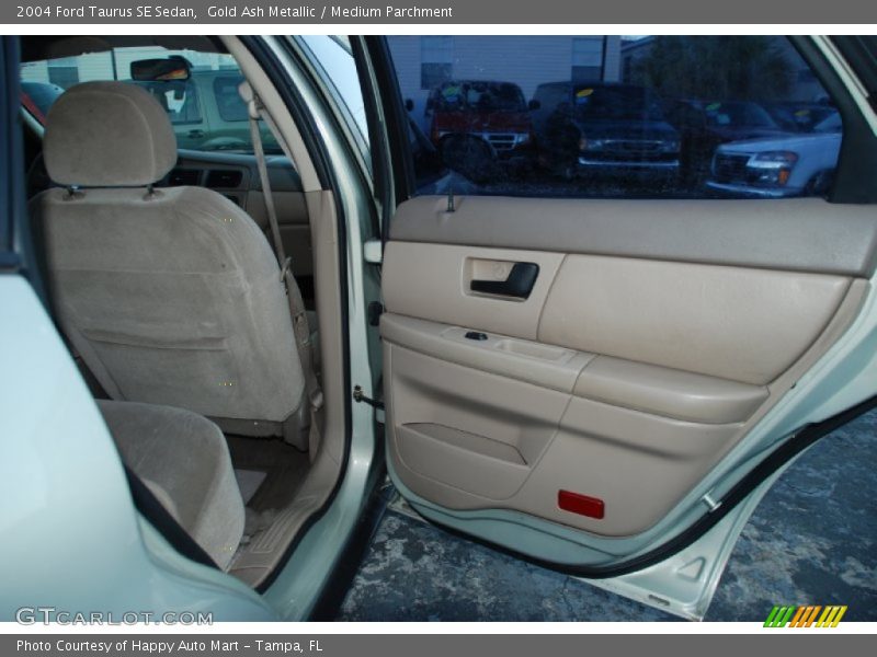 Gold Ash Metallic / Medium Parchment 2004 Ford Taurus SE Sedan