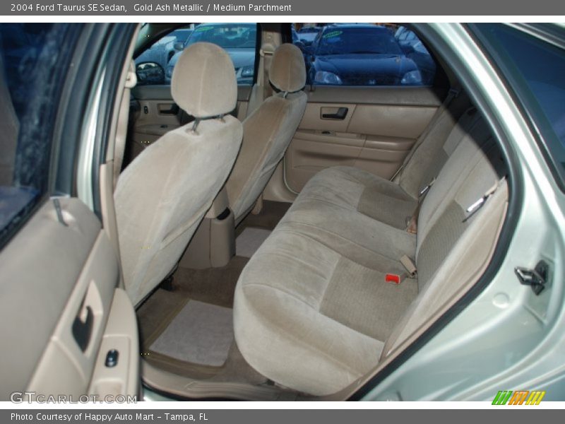 Gold Ash Metallic / Medium Parchment 2004 Ford Taurus SE Sedan